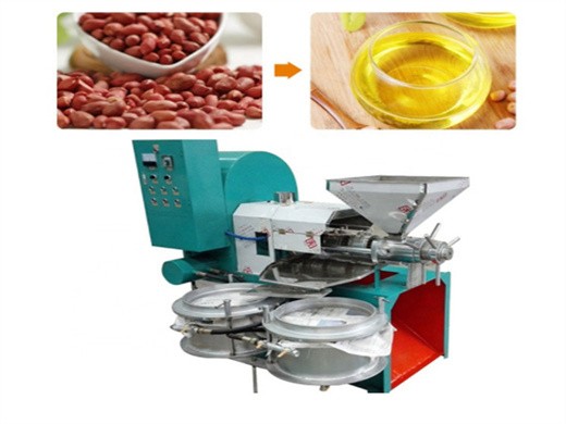 Máquina de prensado de aceite de soja de cacahuete de germen de maíz a la venta en Perú