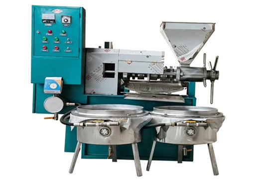 Máquina de prensado de aceite de nueces de prensado industrial de acero inoxidable 304