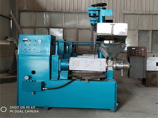 Máquinas automáticas de prensa de aceite capacidad 5 20 ton día modelo vk en Bolivia