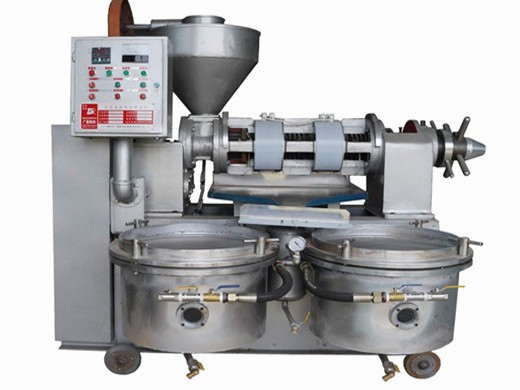 máquina de prensa de aceite prensa de aceite automática de grado comercial 304 en Costa Rica