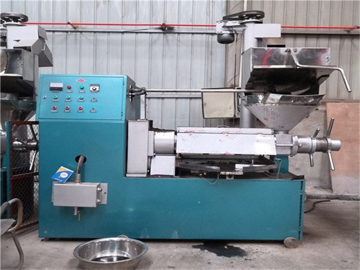 máquina de aceite de semilla de higo chumbo prensa de aceite industrial en Argentina