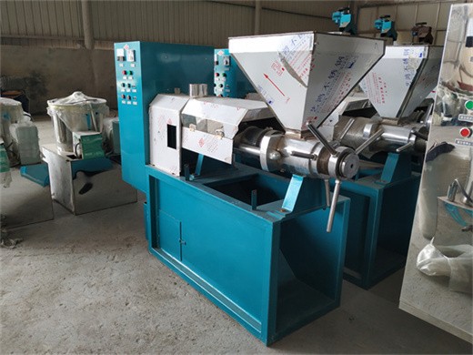 Máquina de prensado de aceite de cacahuete de capacidad media fabricada en tayikistán hpyl 200