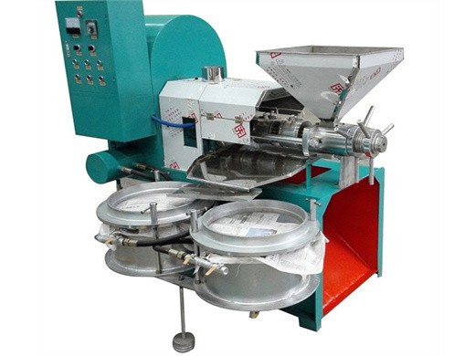 Máquina de extracción de aceite de colza de alta calidad máquina de aceite de semilla de té