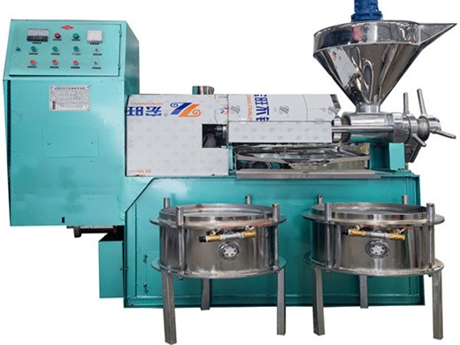 Máquina mecánica de prensado de aceite de semilla de tung jintai expulsor de aceite de tornillo