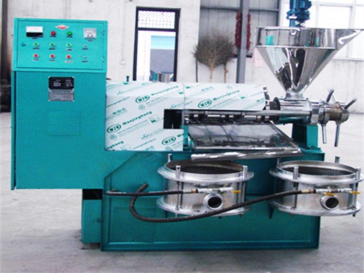 Máquina industrial de prensa de aceite de semilla de girasol en caliente y en frío