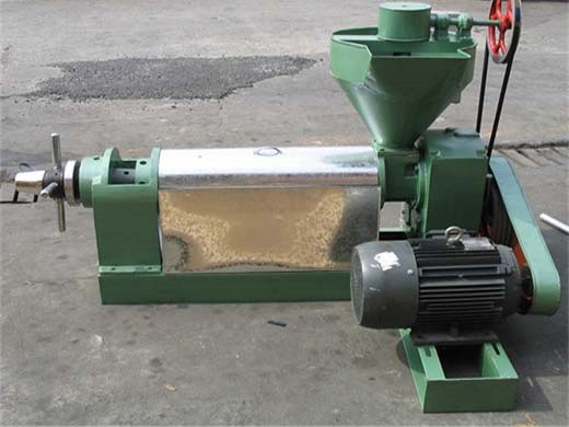 Máquina de prensa de aceite pequeña máquina extractora de aceite de prensa en frío a la venta