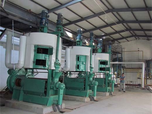 máquina de prensa de extracción de aceite de algas de venta caliente para ventas en Venezuela