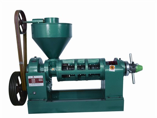 máquina de prensa de aceite de tornillo 6yl 100 en Paraguay