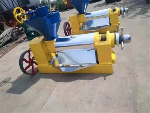 Fabricante máquina de extracción de aceite de prensa en frío para semillas vegetales
