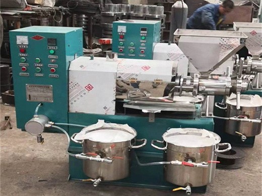 Precio de máquina de prensa de aceite original de nuevo diseño en Perú