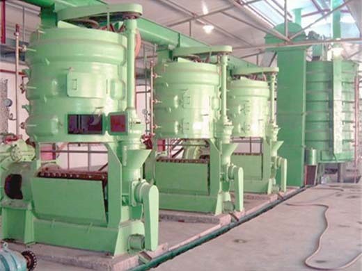 Máquina de prensa de aceite de nuez de ahorro de energía de diseño profesional 2023