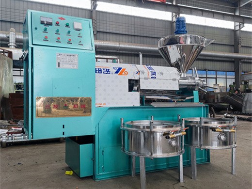 Máquina de prensa de aceite dl zyj05 extractor de aceite de semilla de acero inoxidable