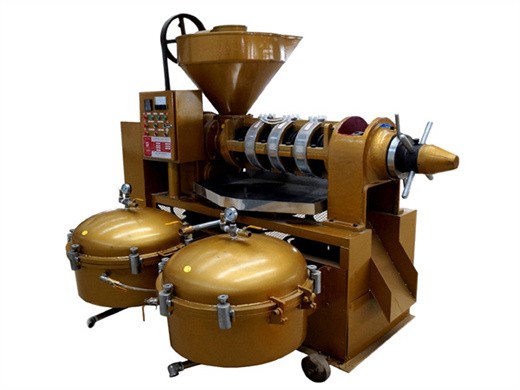 Máquina automática de prensado de aceite de colza al vacío en máquina de aceite de Costa Rica