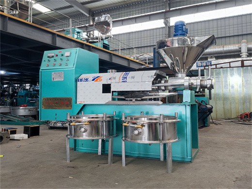 máquina de prensa de aceite 10 200tpd maquinaria de molino de aceite de alta calidad en Turquía