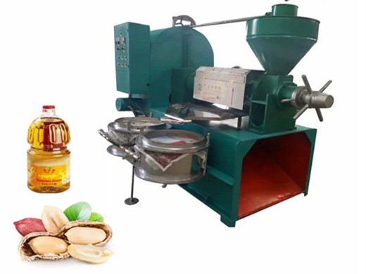 Máquina de prensa de semillas de aceite de semilla de algodón duradera económica de gran oferta