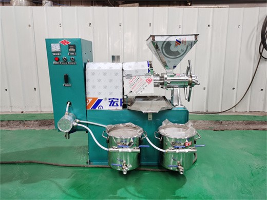 máquina de prensa de aceite de proyecto de molino de aceite de girasol para uso en Costa Rica