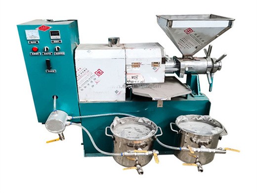 Máquina de extracción de aceite comestible de prensa en frío de uso comercial y comercial