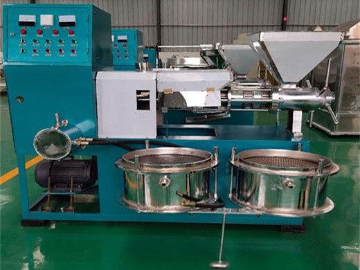 Máquina automática de prensa de aceite prensadora de acero inoxidable en Argentina