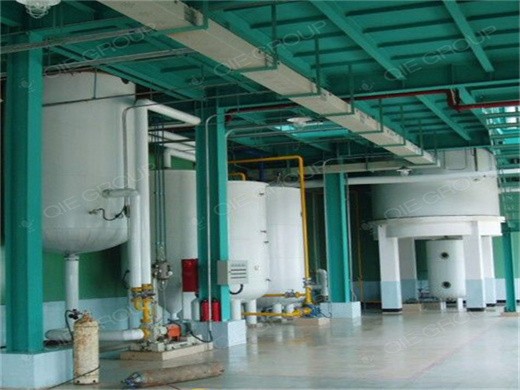 Venta de máquina de prensado de aceite de maní solvente de aceite de semillas de maní en Cuba
