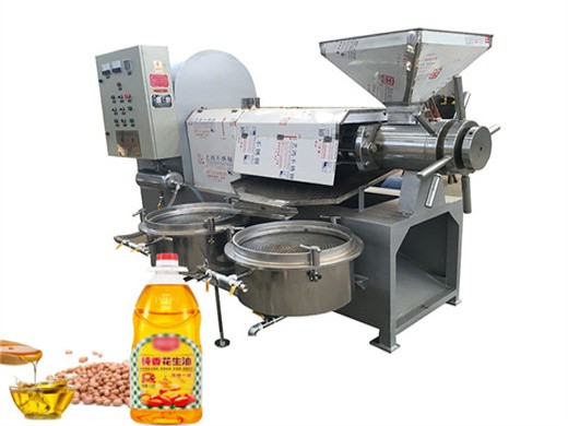 Máquina de aceite industrial nuevo diseño máquina automática de extracción de aceite de sésamo