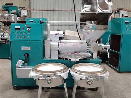 Fabricante y proveedor de máquina de extracción de aceite de tung de prensa en frío en Cuba