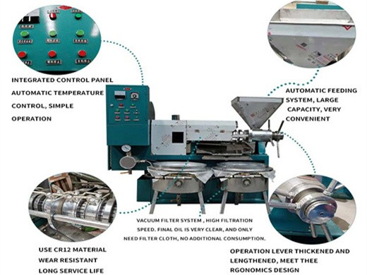 Máquina de prensa de aceite de maní de gran venta con alta calidad en Bolivia