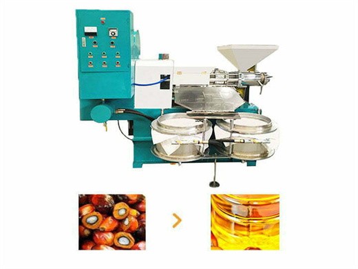 prensa de tornillo de aceite de palma máquina de prensado de tornillo de aceite de palma