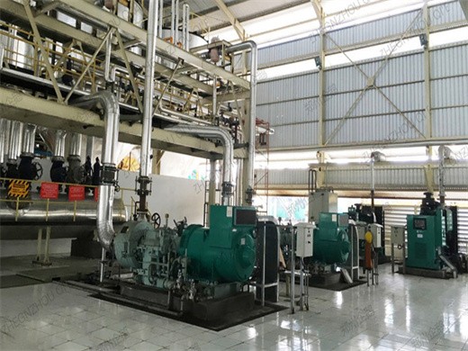Máquina de aceite de almendra de palma de 1000 kg/h aprobada por ce a la venta en Bolivia