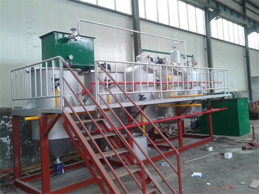 máquina automática de prensa de extracción de aceite de palma molino de aceite de palma