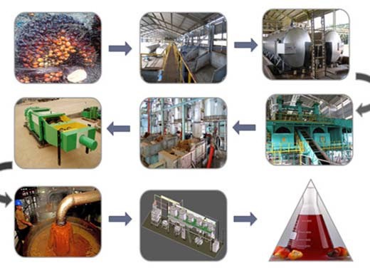 fabricante proveedor de procesamiento de aceite de palma de nueva generación en Ecuador