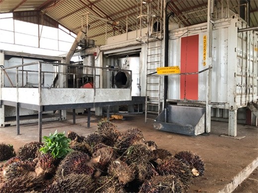 Máquina expulsora extractora de aceite de palma completamente automática en Paraguay