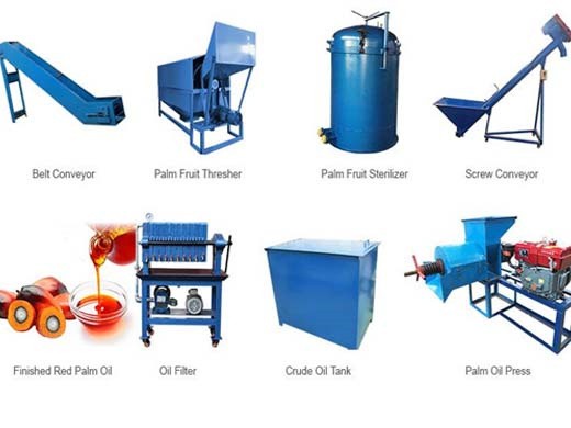 Máquina de prensado de aceite de almendra de palma de gran oferta con alta calidad