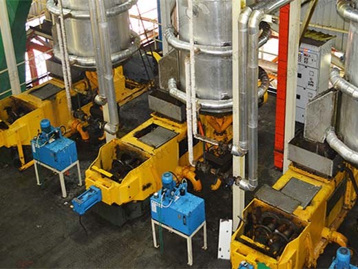 producción de biodiesel prueba de extracción de prensa de aceite de palma dic.