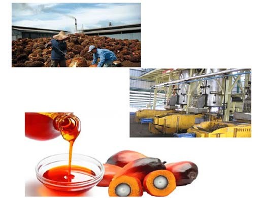 Resultados de la máquina de extracción de aceite de semilla de palma de Filipinas