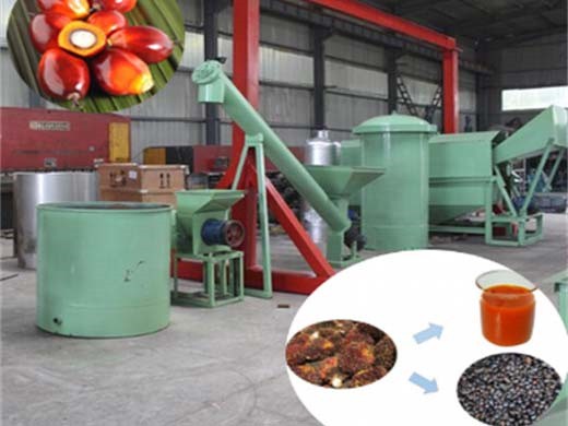 Nueva línea de producción de aceite de palma de 200 kg/h en Argelia