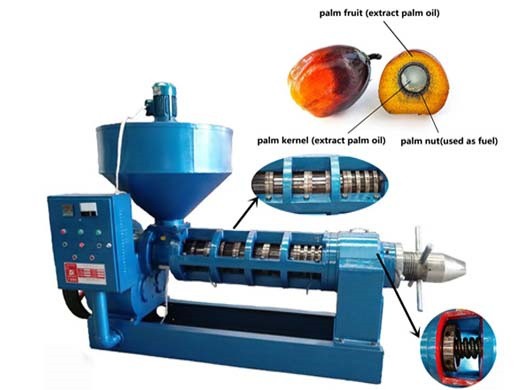 máquina de procesamiento de aceite de almendra de palma en la palma de indonesia