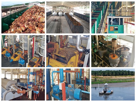 refinería de aceite de palma 100tpd cliente de Kenia