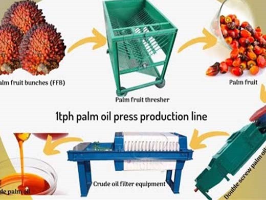 planta mediana de producción de aceite comestible de palma de 10-50 ton/día en Costa Rica