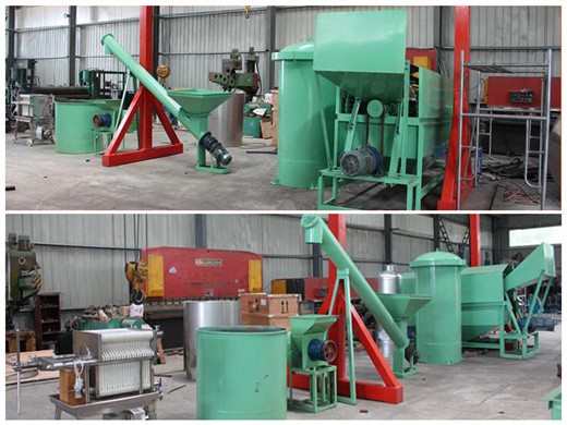 máquina de prensa de aceite de palma extracción de aceite de palma palma refinada en Perú