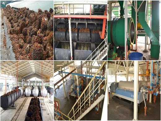 prensa de aceite de palma máquina de prensa de aceite de almendra de palma en Ecuador