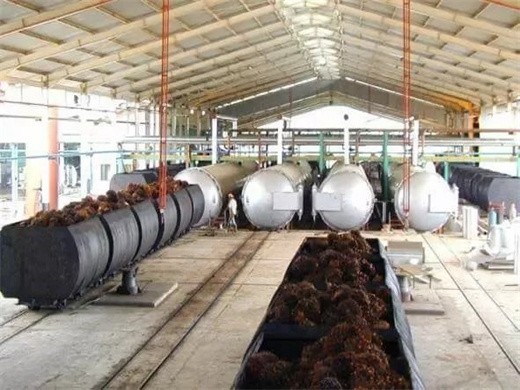 Molino triturador de semillas oleaginosas Molino de proceso de aceite de palma en Cuba