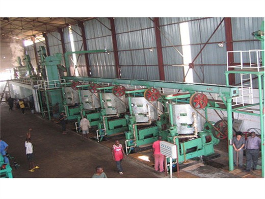 Máquina expulsora de aceite de almendra de palma a la venta en Paraguay