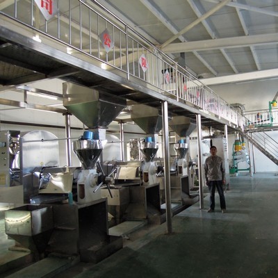 Máquina automática de prensa de aceite de expulsor de semillas de plantas en Honduras