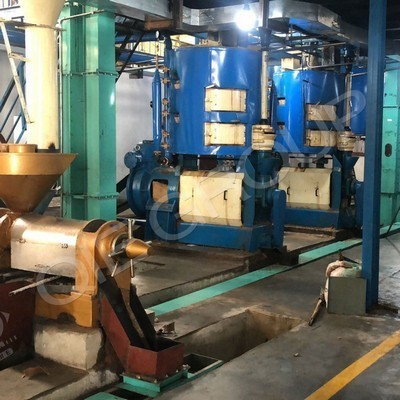 Máquina para hacer aceite de maní a línea de producción de aceite de germen de maíz