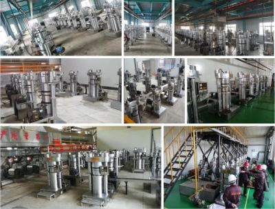 Precio de la máquina de prensa de aceite frío y caliente hidráulico comercial de china