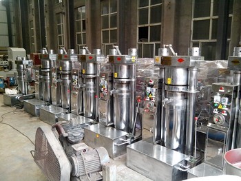 Máquina automática para hacer aceite de sésamo máquina hidráulica para prensar aceite de nuez