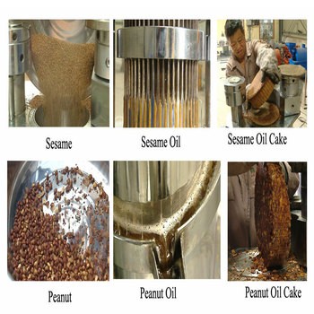 Prensa hidráulica de aceite de sésamo soja y girasol máquina para hacer aceite